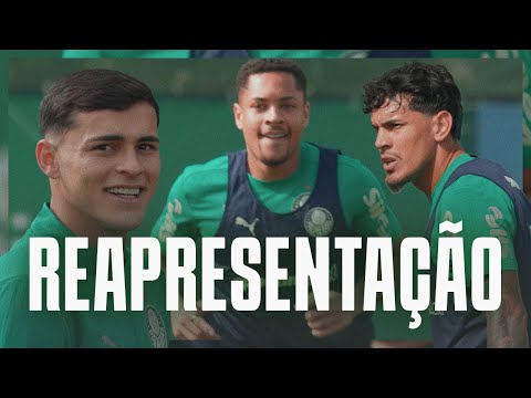 image para ilustrar o artigo