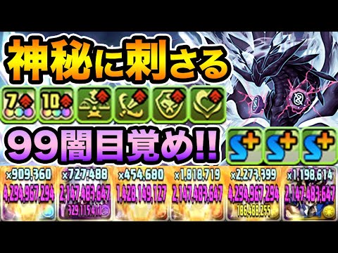 ∞龍ゲンムエンペラーが神秘にぶっ刺さる！スキブ6+4ターンヘイストスキル持ち！DMコラボ、神秘の次元【スー☆パズドラ】