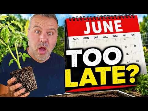 What to Plant in June (Before It's Too Late)