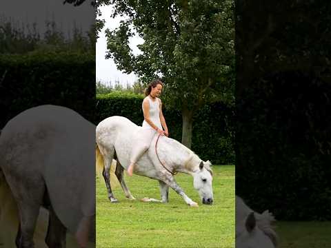 Opium - becoming such a Star ❤️ A little show in Portugal!  www.keytohorses.com #horse  #equestrian