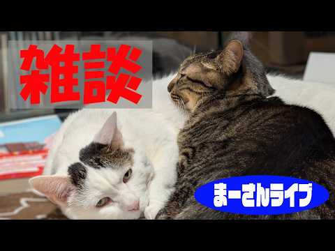 何かと忙しいので雑談【まーさんライブ】