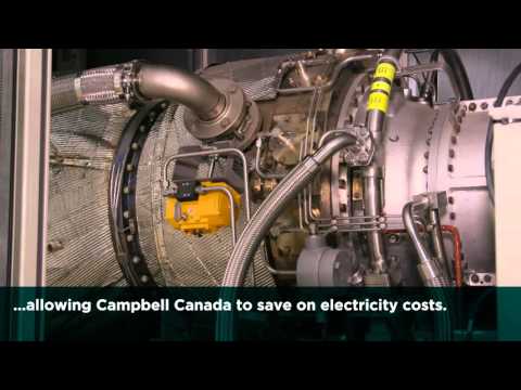 Combined Heat and Power project at Campbell Canada