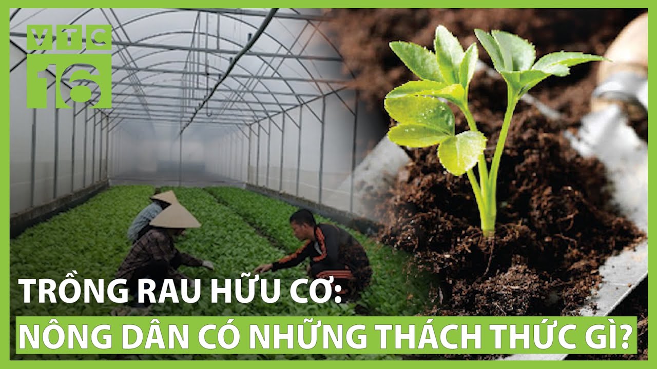 video-gioi-thieu