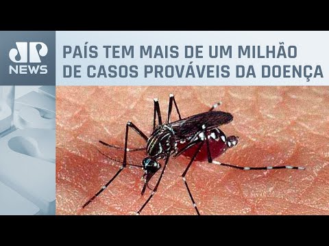 Índice de letalidade da dengue grave é de quase 3% no Brasil