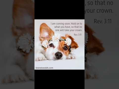#worshipmusic #christianmusic #gospelmusic #cute #dailybibleverse #dog #petlover #doglover
