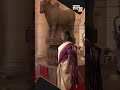 Modi 3.0: President Droupadi Murmu arrives at Rashtrapati Bhavan | news9