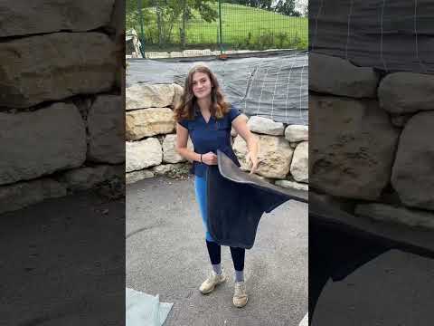 #equitation #cavalier #cavaliere #lavage #nettoyage