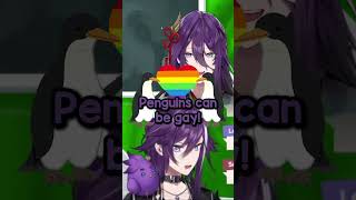 Gay Penguins #shorts #holotempus #banzoinhakka