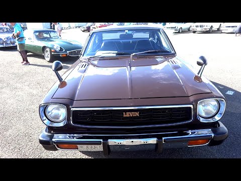 TOYOTA Corolla LEVIN TE51 　トヨタ カローラ レビン TE51