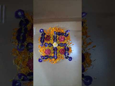 आजची फुलांची सुंदर रांगोळी #trending #flowerrangoli #diwalivibes #ashortaday #dailyvlog #umbaratha