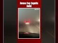 Dense Fog In Delhi: A Layer Of Fog Covered The National Capital As North India Shivers In Cold Wave  - 00:56 min - News - Video