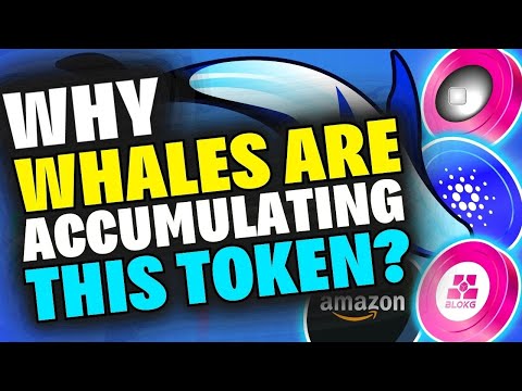 Why Whales Are Accumulating THIS Token? Polygon zkEVM launch, Cardano, Bloktopia, Amazon NFT News!