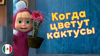 Máša a Medveď - Keď kaktusy kvitnú - Mexiko