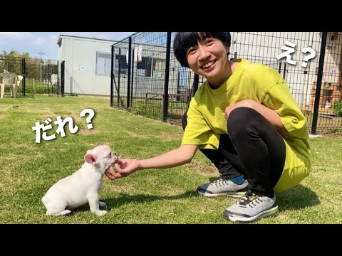 新しい家族がやってきた！ペットロス妻に笑顔が戻りました