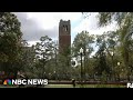 University of Florida cuts all DEI roles across campus