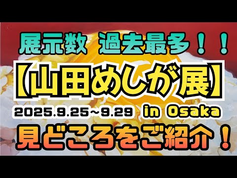 【山田めしが展】開催のお知らせと見どころ #イラスト #art