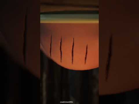 A Bear Hiding Under the Toilet?! Woman’s Terrifying Encounter #shorts