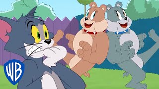Tom a Jerry - Spikův bratr