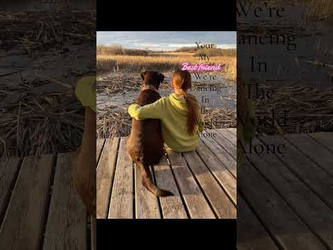 Your my best friend. #horse #equestrianjourney #horseenthusiast #stopanimalabuse #horsefan #horse