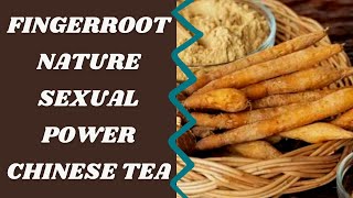 Amazing Health Benefits Of Fingerroot, Chinese Ginger, Can Fingerroot Ward Off Covid-19?