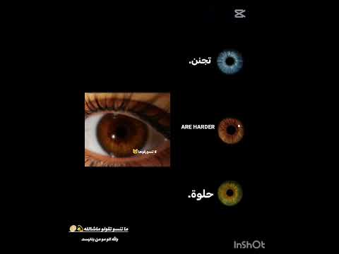 قولو ماشالله🥹🌕 #roblox #musicalbums #اكسبلور #اهميه #musicsongs