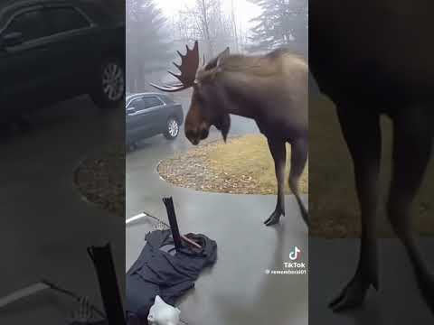 🫎 don't like props