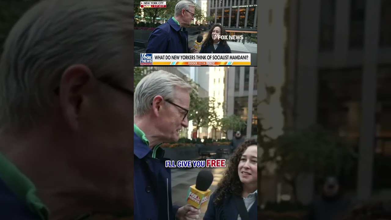 'FREE STUFF': New Yorkers react to Mamdani's socialist agenda #nyc #shorts #foxnews