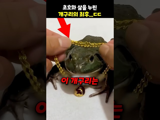 초호화 삶을 누린 개구리의 최후…ㄷㄷ