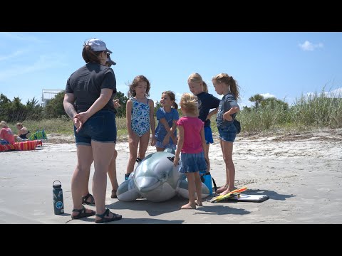 screenshot of youtube video titled Against the Tide | Charleston’s Marine Mammal Response Team