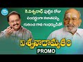 Director Viswanath birthday special video, promo