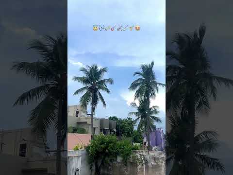 Lucky 90s People 😇 #love  #90skids #roja #song #arrahman #shortsfeed #hellomrmani