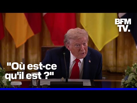 Sommet à Washington: Donald Trump parle du président finlandais sans réaliser qu'il est face à lui