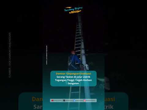 Damkar Tanjungsari Evakuasi Sarang Tawon di Jalur Listrik Tegangan Tinggi, Cegah Korban Sengatan