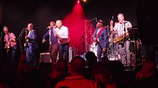 The Specials LTD - &#39;Too Much Too Young&#39; - Live at Ska On The Pier 2023