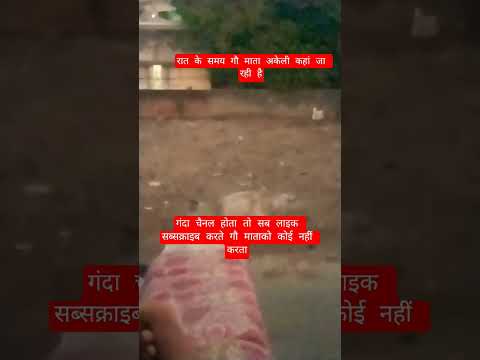 रात के समय गौ माता अकेली कहां जा रही है #13million #cow #motivation #100millon #gaumata #animals