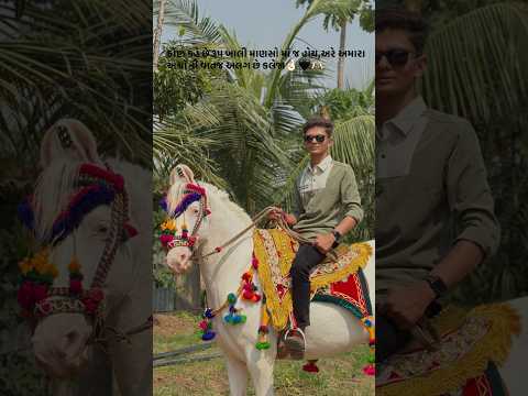 અશ્વ પ્રેમી 🥰 #horse#trending #song#kathiyawadi #rajput #horsegirl #shorts #youtubeshorts