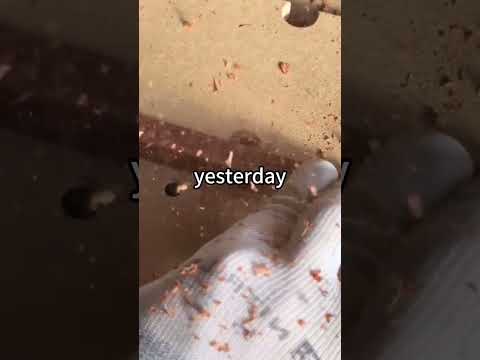 #Reddit #diy #woodworking#fyp #satisfying