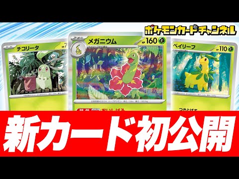 【初公開】草エネルギーの数2倍！？強力な特性を持ったメガニウムたちを紹介！【ポケカ/ポケモンカード/メガブレイブ/メガシンフォニア】
