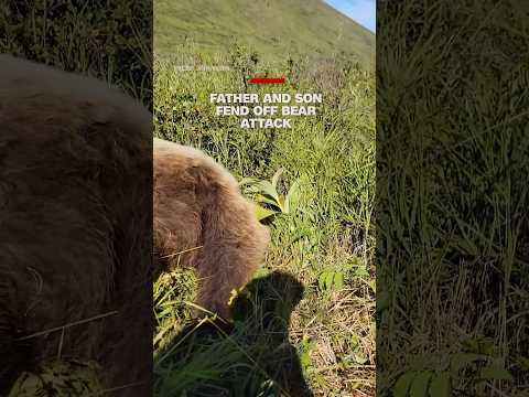 Father and son fend off bear attack