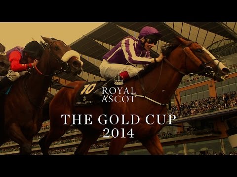 Vidéo de la course PMU GOLD CUP