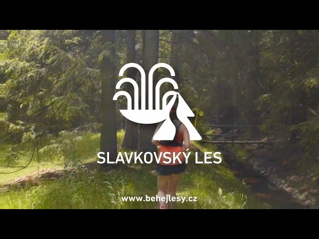 Reportáž Běhej lesy Slavkovský les 2021