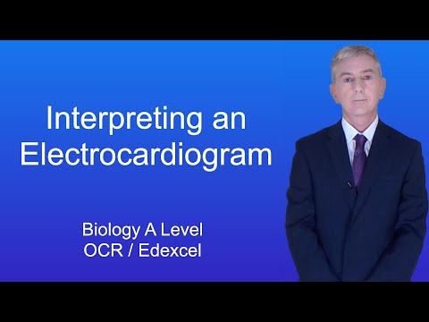 A Level Biology Revision “Interpreting an Electrocardiogram (OCR / Edexcel)”