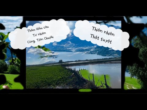 Hành Trình Tìm Điểm Câu Cá Tự Nhiên Và Những Con Cá Kể Trong Truyền Thuyết