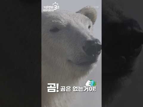 [기후변화3초] 북극곰의 포효😱  #기후변화 #지구온난화 #기후변화송