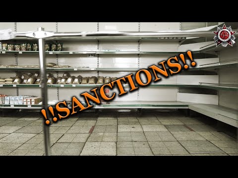 Are Sanctions Starving Russia | Day 78