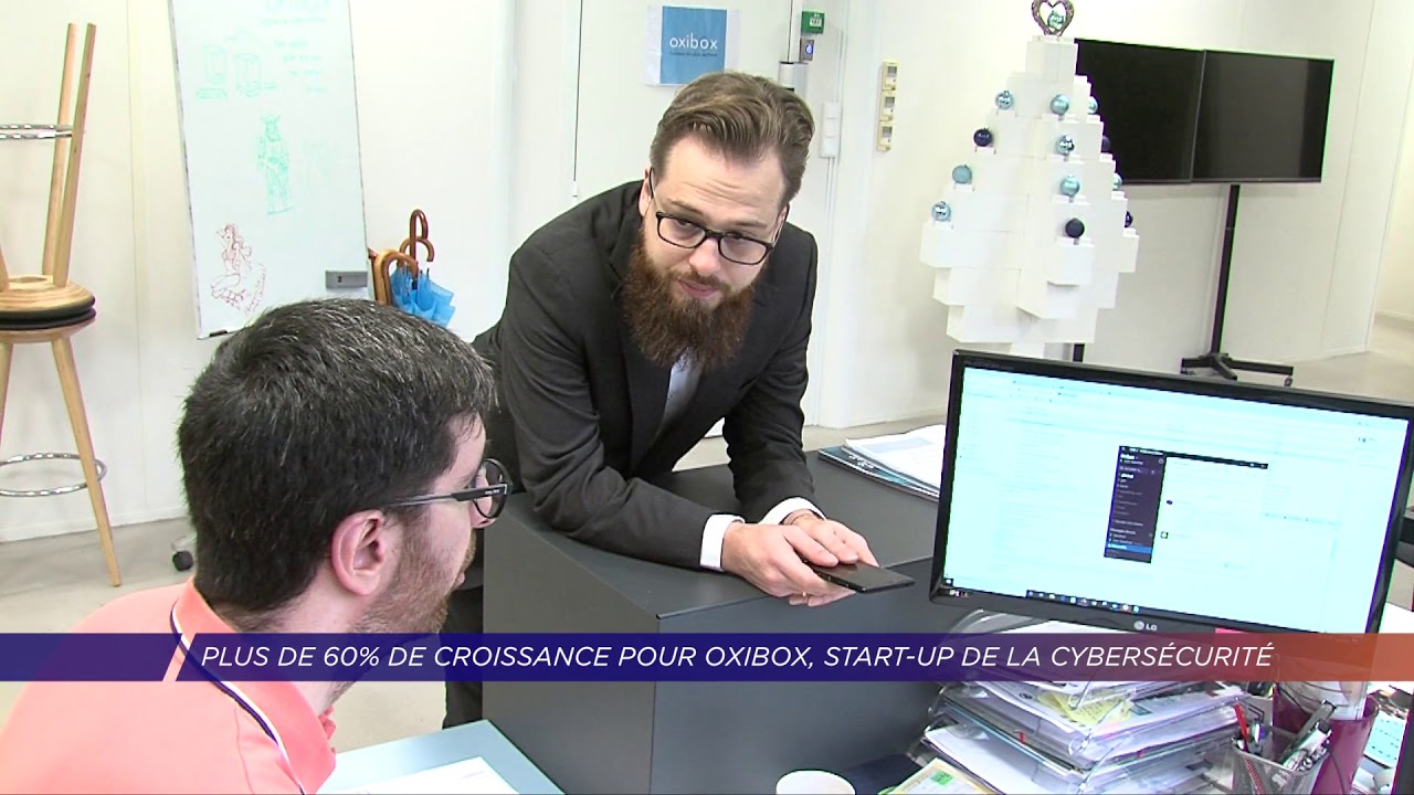 Yvelines | Plus de 60% de croissance pour Oxibox, start-up de la cybersécurité