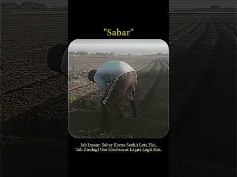 #explore #shortsvideo #trendingshorts #youtubeshorts