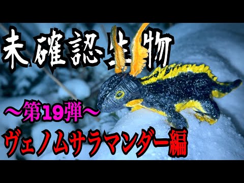 【未確認生物】ヴェノムサラマンダー見つけるまで帰れません！！！