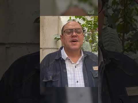 قناة المهرية الفضائية