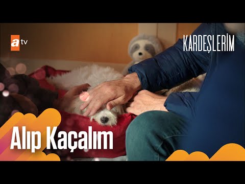 Emir'in tatlı köpeği - Kardeşlerim Arşiv Sahneler🎬